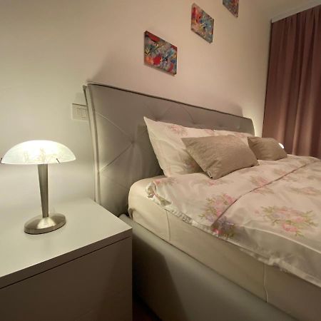 Central Apartment Temeşvar Dış mekan fotoğraf