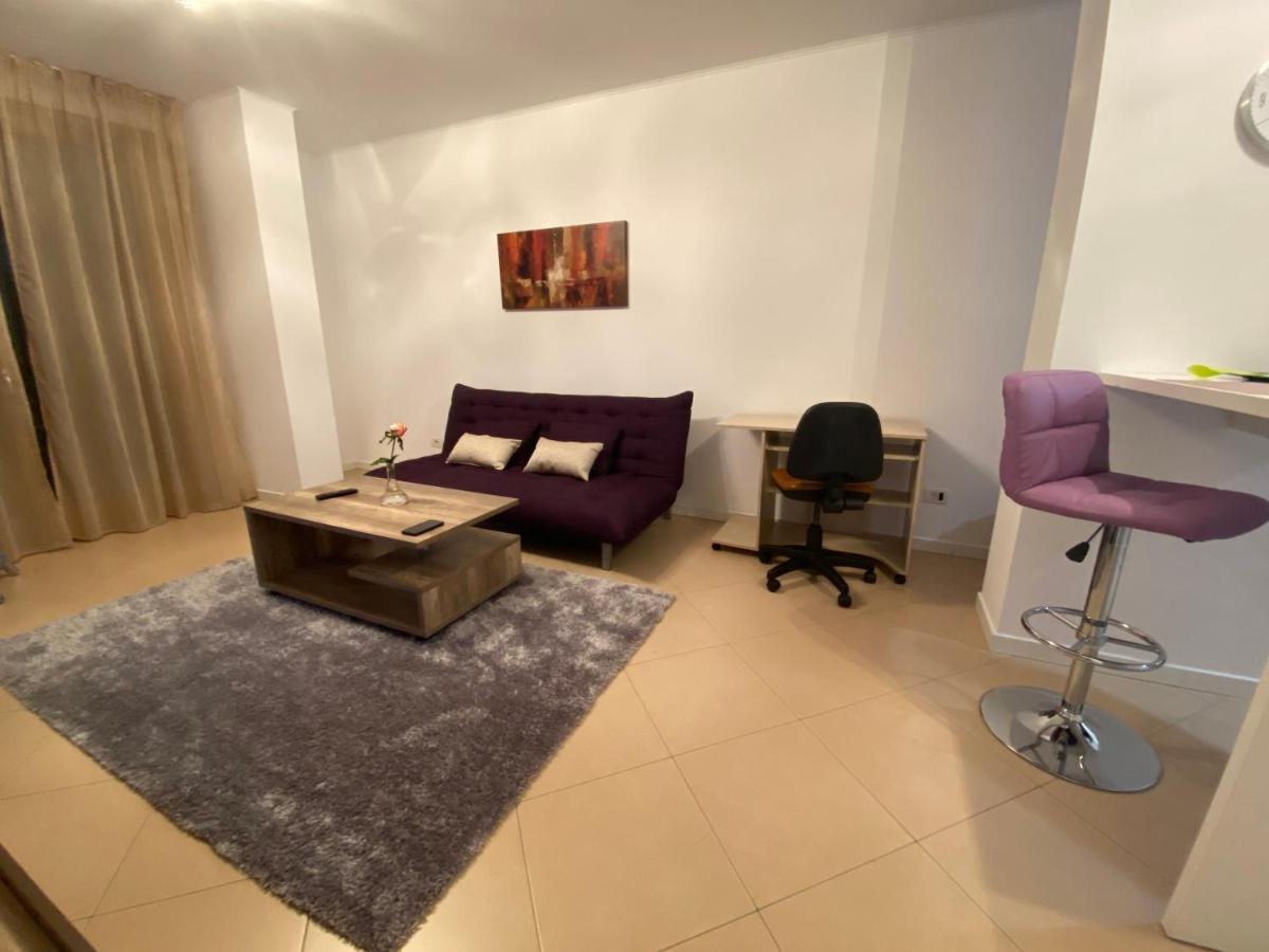 Central Apartment Temeşvar Dış mekan fotoğraf