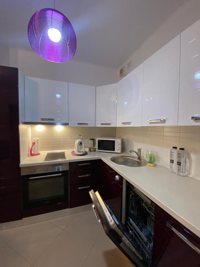Central Apartment Temeşvar Dış mekan fotoğraf