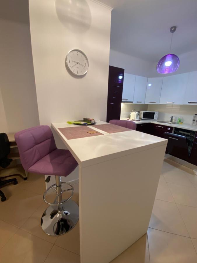 Central Apartment Temeşvar Dış mekan fotoğraf