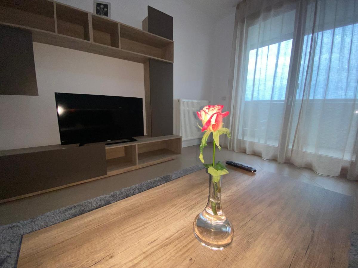 Central Apartment Temeşvar Dış mekan fotoğraf