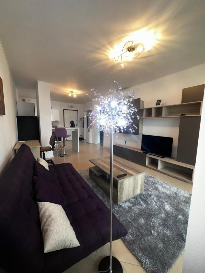 Central Apartment Temeşvar Dış mekan fotoğraf