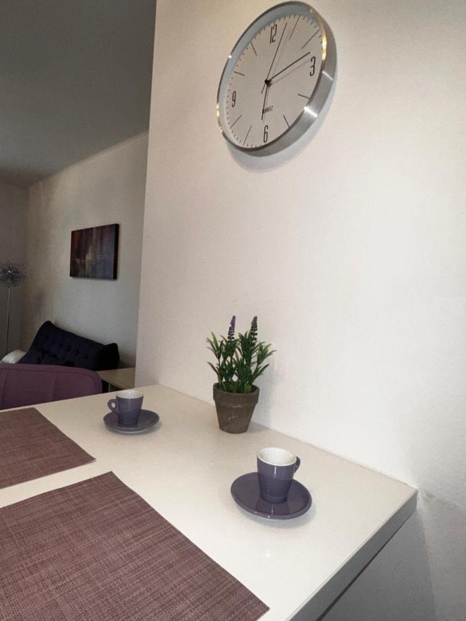 Central Apartment Temeşvar Dış mekan fotoğraf