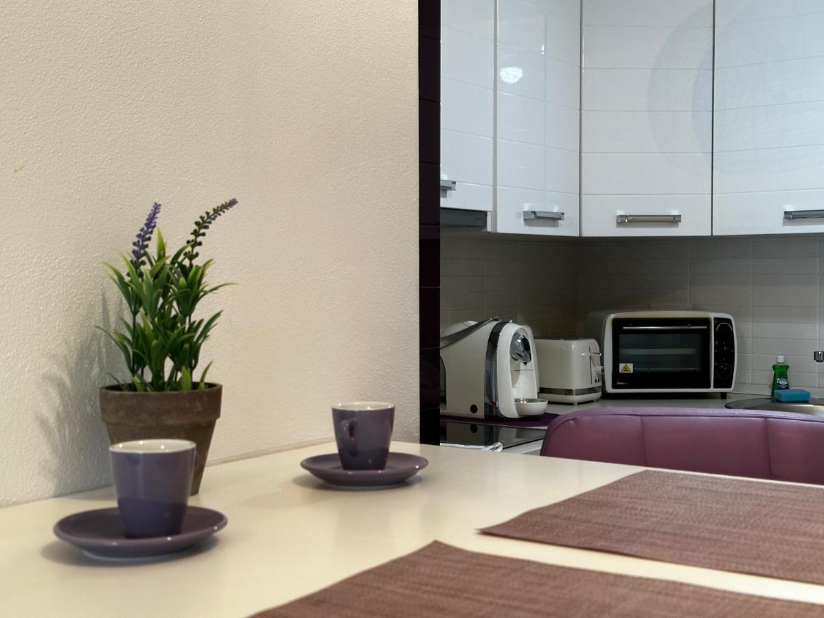 Central Apartment Temeşvar Dış mekan fotoğraf