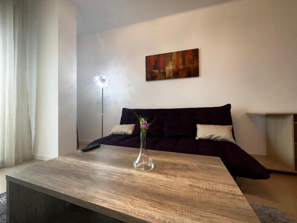 Central Apartment Temeşvar Dış mekan fotoğraf