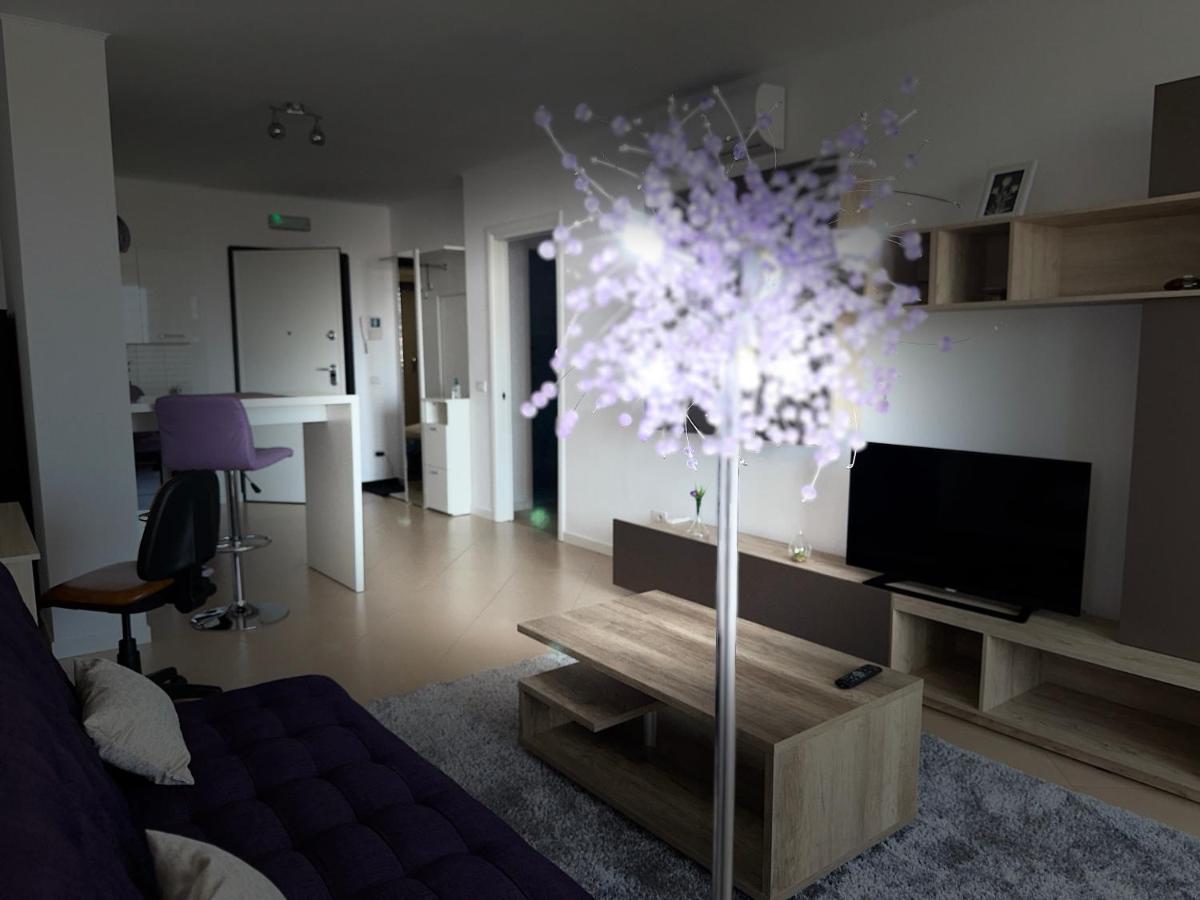 Central Apartment Temeşvar Dış mekan fotoğraf
