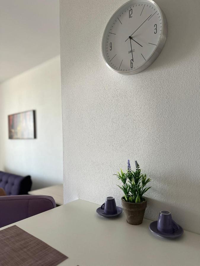 Central Apartment Temeşvar Dış mekan fotoğraf