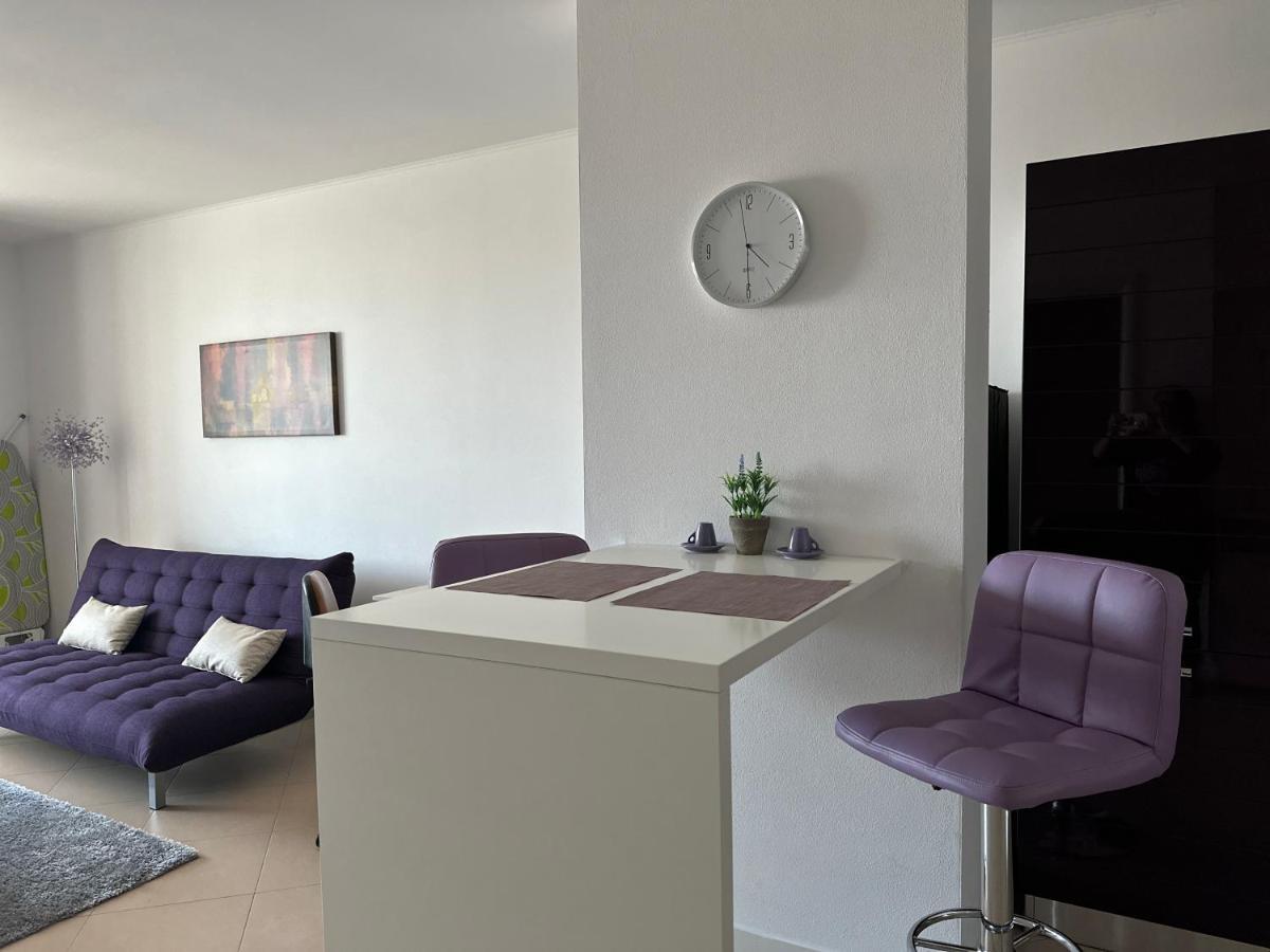 Central Apartment Temeşvar Dış mekan fotoğraf