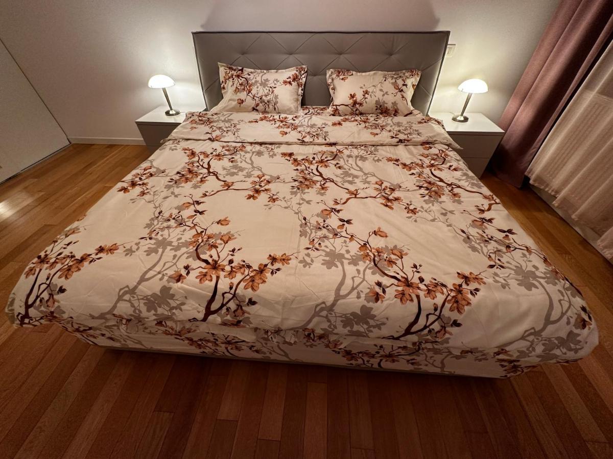 Central Apartment Temeşvar Dış mekan fotoğraf
