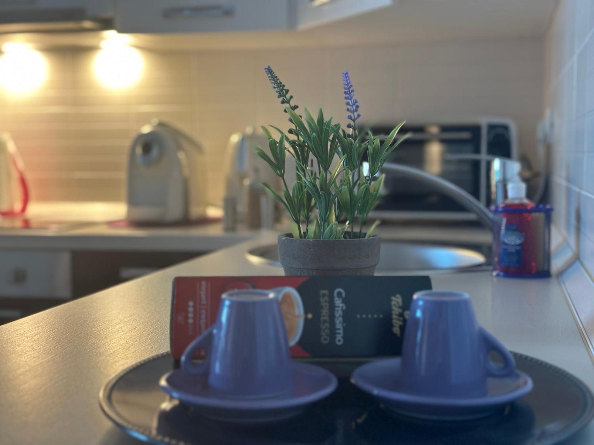 Central Apartment Temeşvar Dış mekan fotoğraf