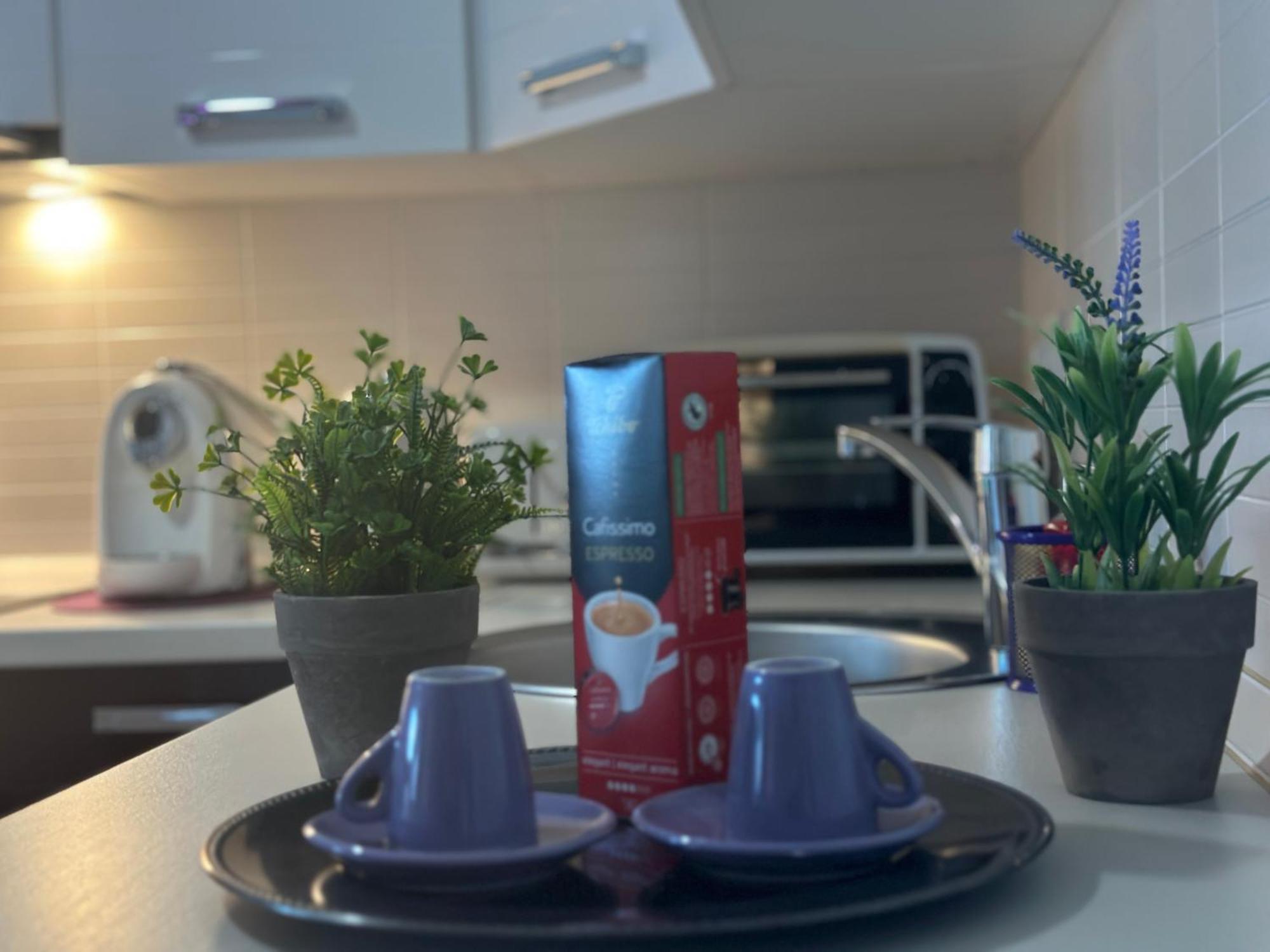 Central Apartment Temeşvar Dış mekan fotoğraf