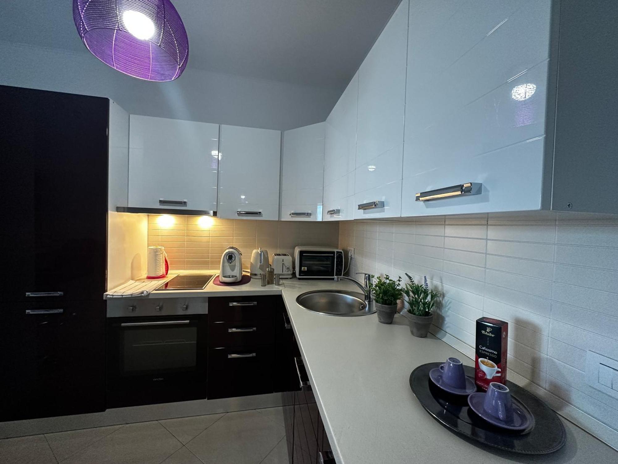 Central Apartment Temeşvar Dış mekan fotoğraf